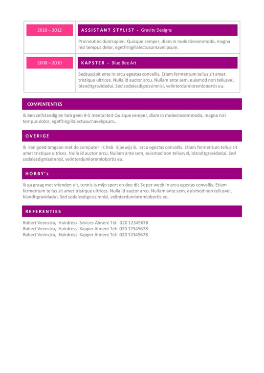 Een cv die met een kleuren combinatie van roze en paars Afbeelding 2