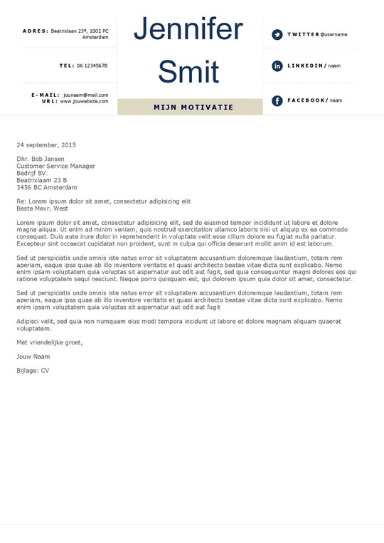 Een charmant en net cv door de kleuren en indeling. Afbeelding 2