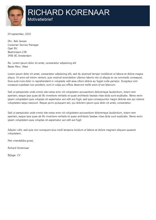 Een duidelijk cv opgedeeld in diverse kolommen. Afbeelding 2
