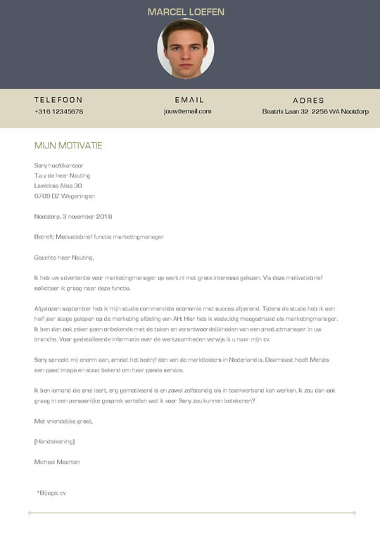 Een mooi cv template met onderdelen in een duidelijk overzicht Afbeelding 2