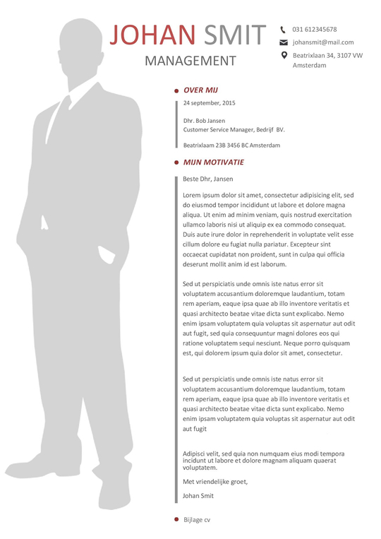 Een mooi cv format voor leidende functies. Afbeelding 2