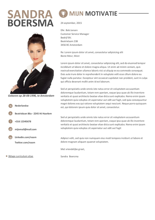 Een stijlvol cv met combinatie van witte en bruine elementen. Afbeelding 2