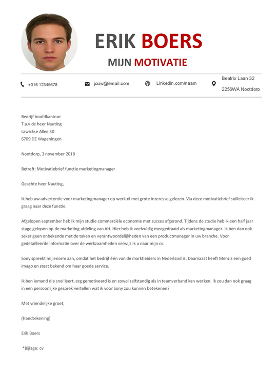 Met dit cv template kun je van de concurrerende sollicitanten winnen. Afbeelding 2