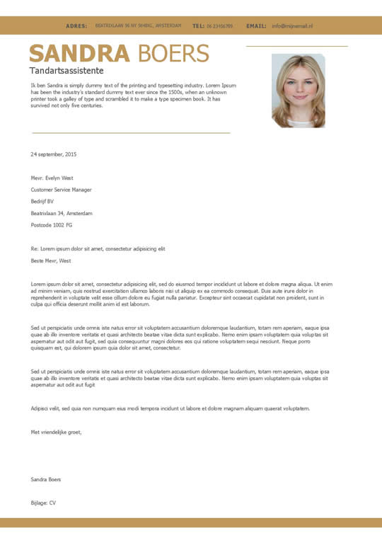 Een overzichtelijk cv + motivatiebrief in goud en wit Afbeelding 2