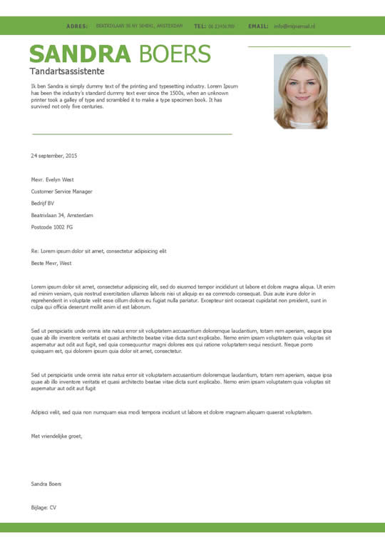 een overzichtelijk cv in groen en wit Afbeelding 2