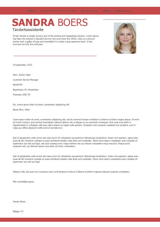 Een overzichtelijk cv + motivatiebrief in rood en wit  Afbeelding 2
