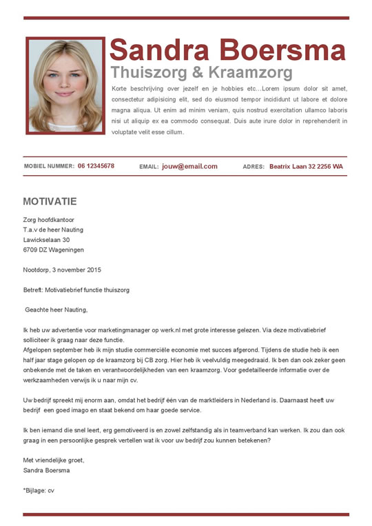 Pro cv in bruin en wit voor een professionele eerste indruk Afbeelding 2