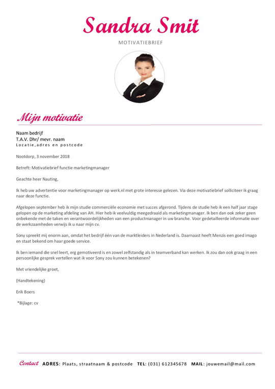 Template curriculum vitae roze Afbeelding 2
