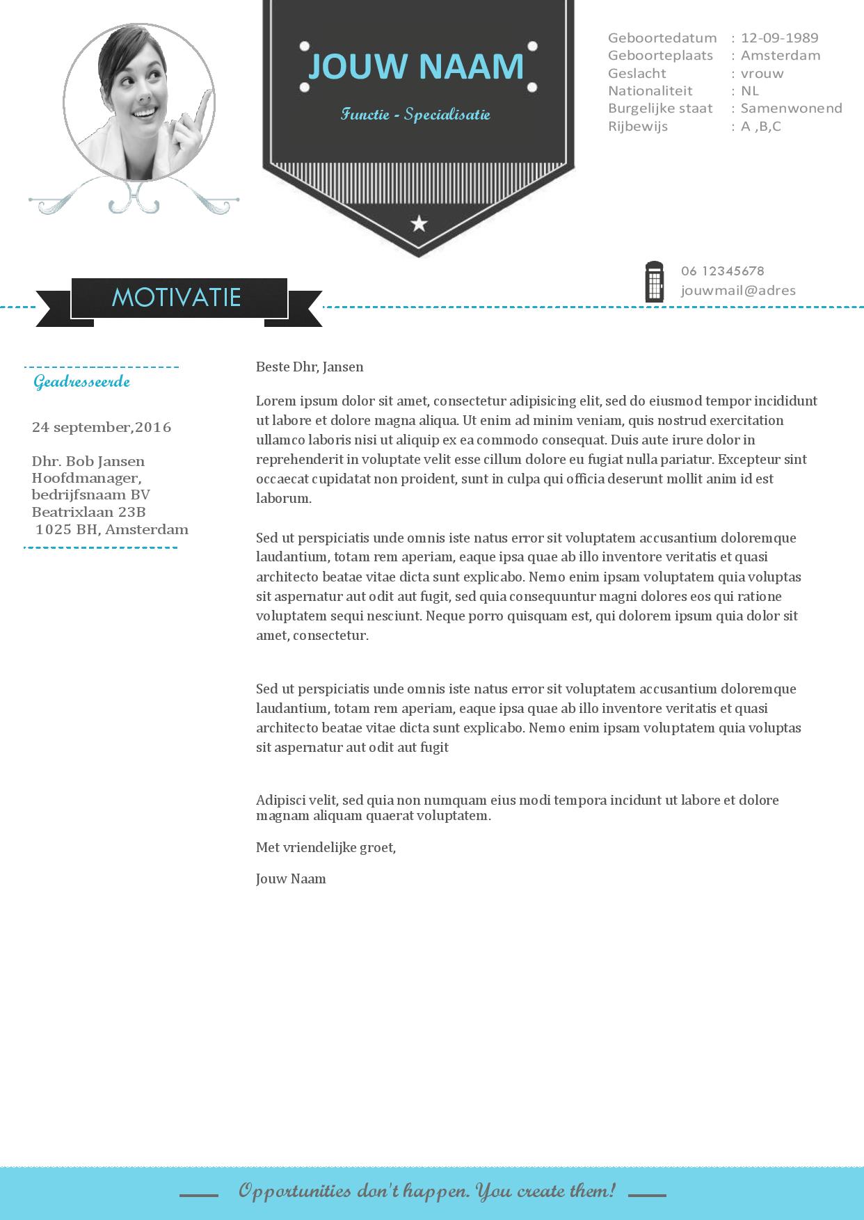 Grijs blauwe cv format met een moderne uitstraling Afbeelding 2