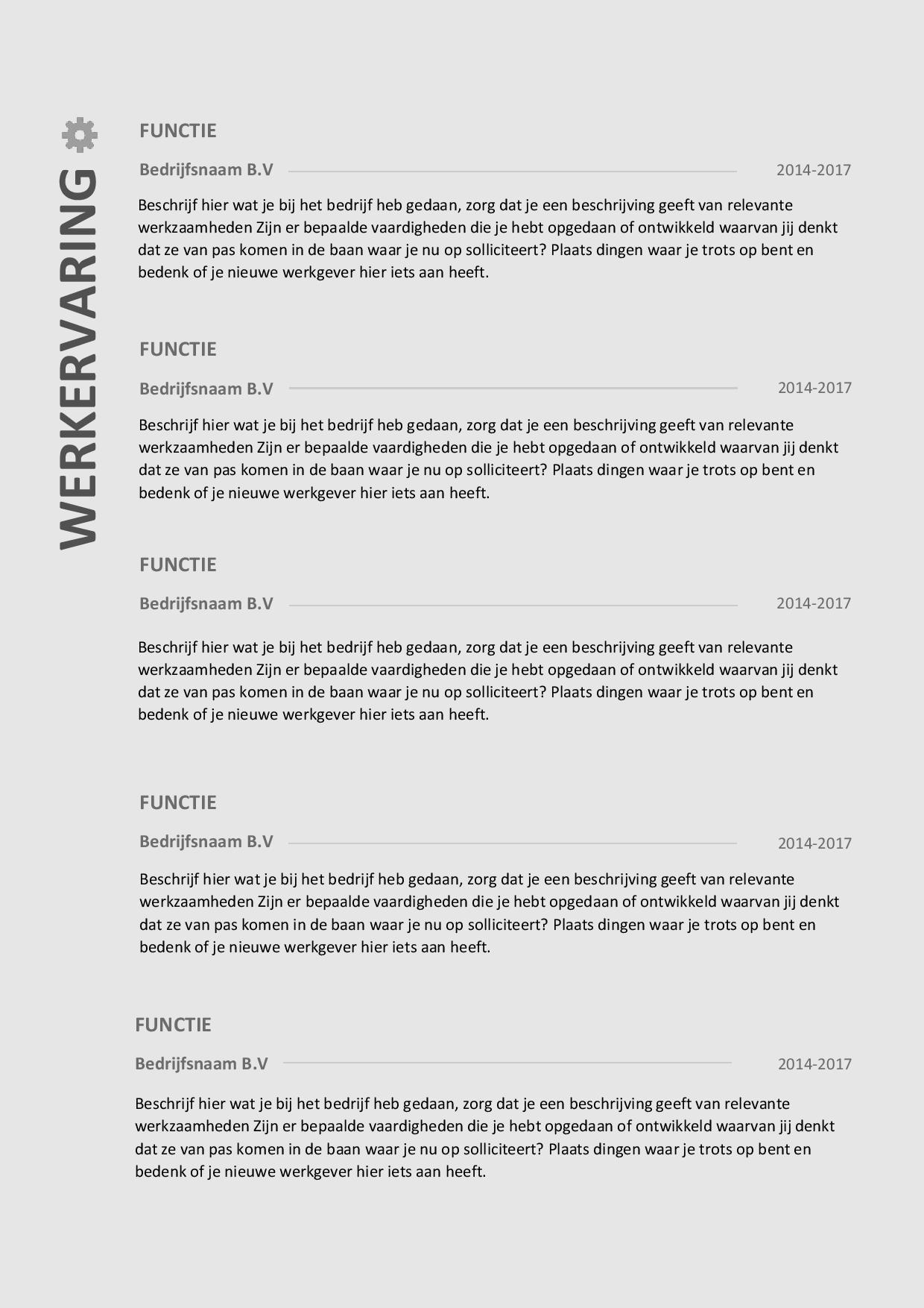Een cv met inhoud voor zowel sollicitanten met een kort als een langdurig arbeidsverleden Afbeelding 2