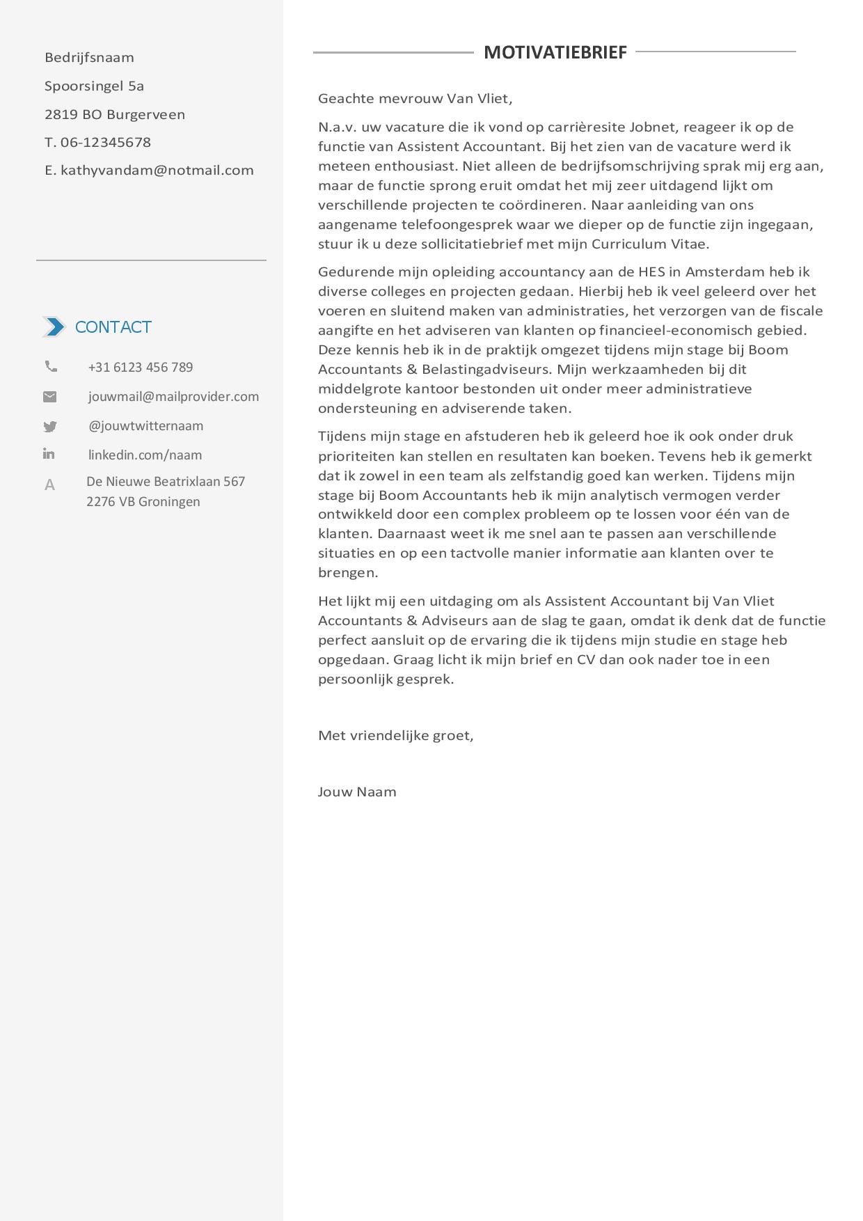 Een neutrale overzichtelijke cv layout met 2 kolommen Afbeelding 2