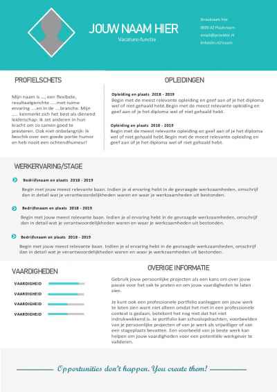 Eenvoudig maar toch opvallend CV sjabloon 