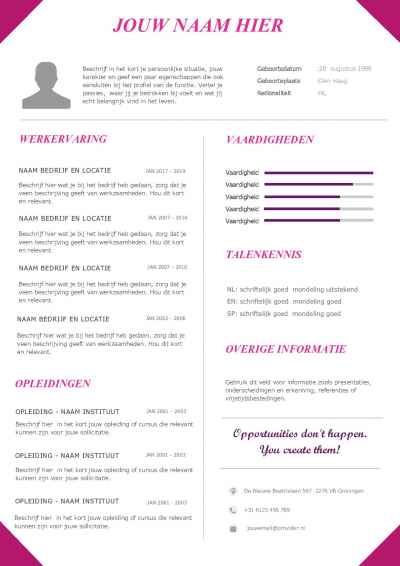 Eenvoudig maar toch opvallend CV sjabloon 